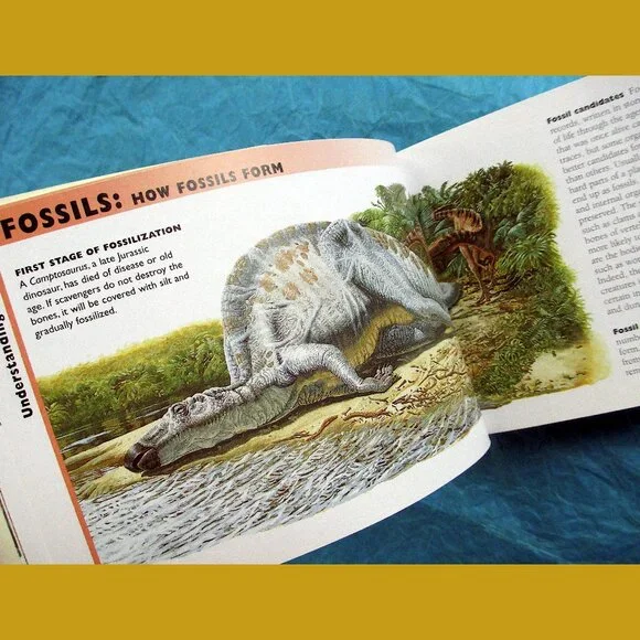 Book - The Little Guides: Dinosaurs, ed. by Dr. Paul Willis - Picture 7 of 16